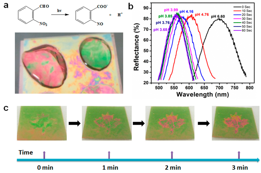 Gels 02 00008 g017 1024