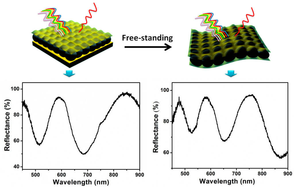 Gels 02 00008 g019 1024