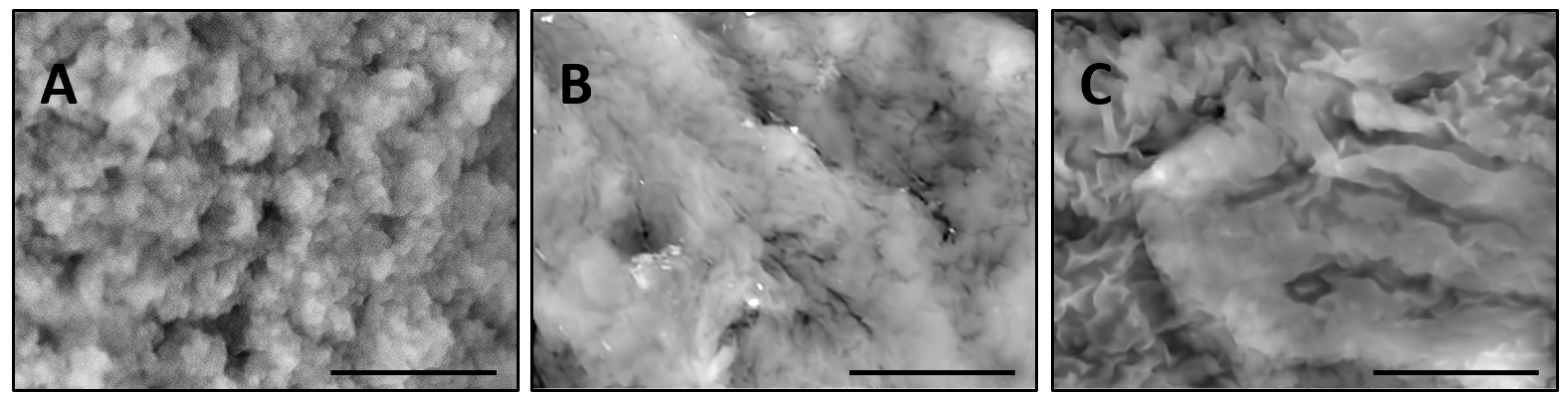 Gels 03 00007 g002