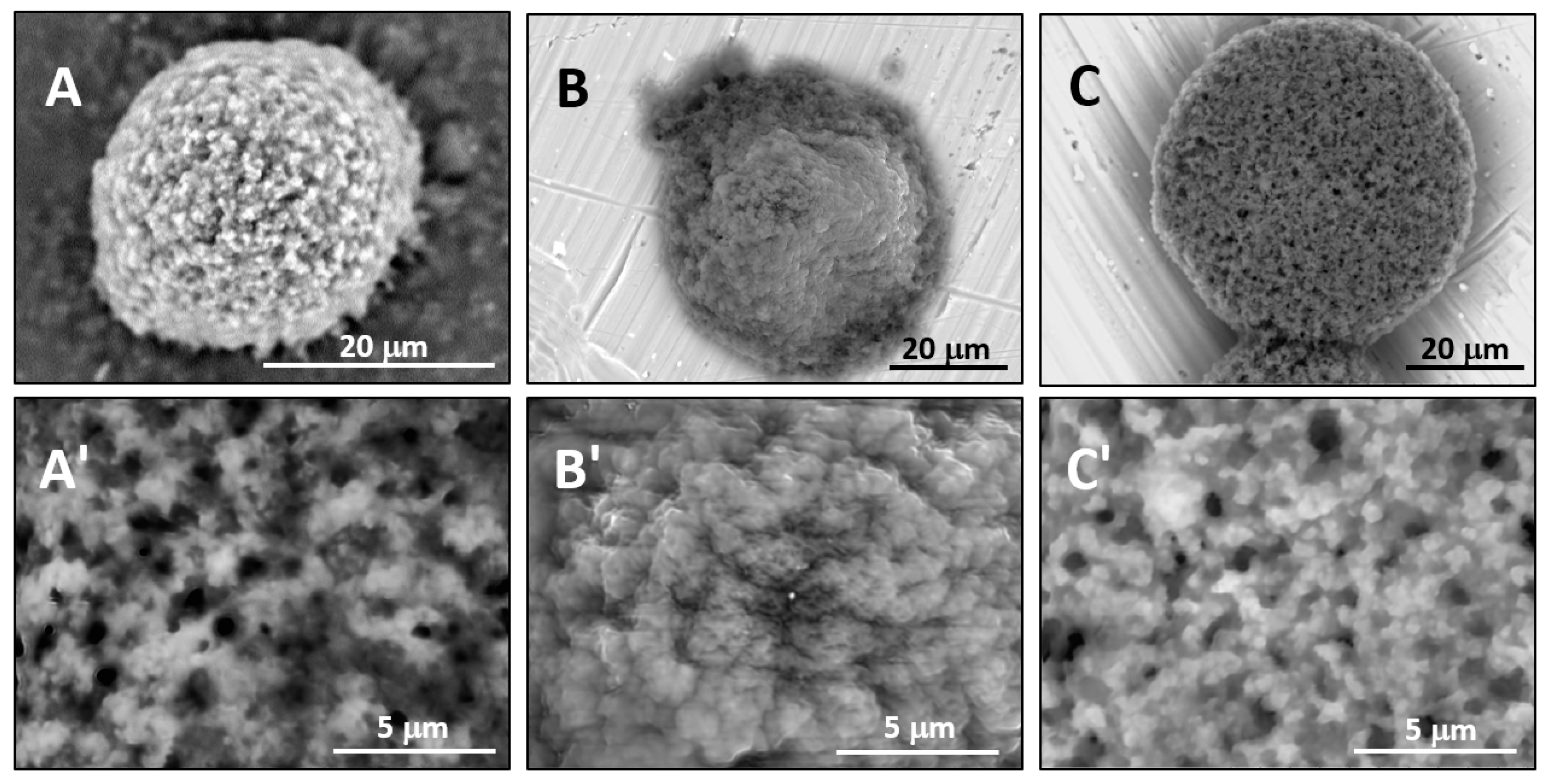 Gels 03 00007 g005