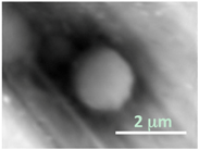 Gels 03 00007 i001