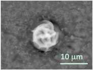 Gels 03 00007 i002