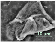 Gels 03 00007 i003