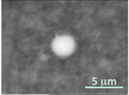 Gels 03 00007 i004
