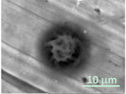 Gels 03 00007 i005