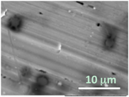 Gels 03 00007 i007