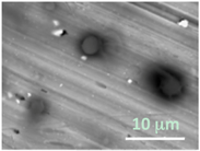 Gels 03 00007 i010