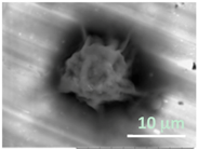 Gels 03 00007 i011