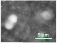 Gels 03 00007 i013