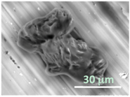 Gels 03 00007 i015