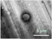 Gels 03 00007 i016