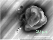 Gels 03 00007 i017