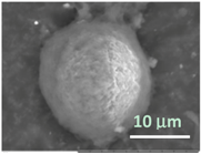 Gels 03 00007 i020