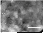 Gels 03 00007 i027
