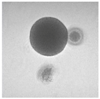 Gels 03 00007 i043