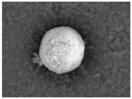 Gels 03 00007 i046