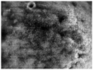 Gels 03 00007 i048