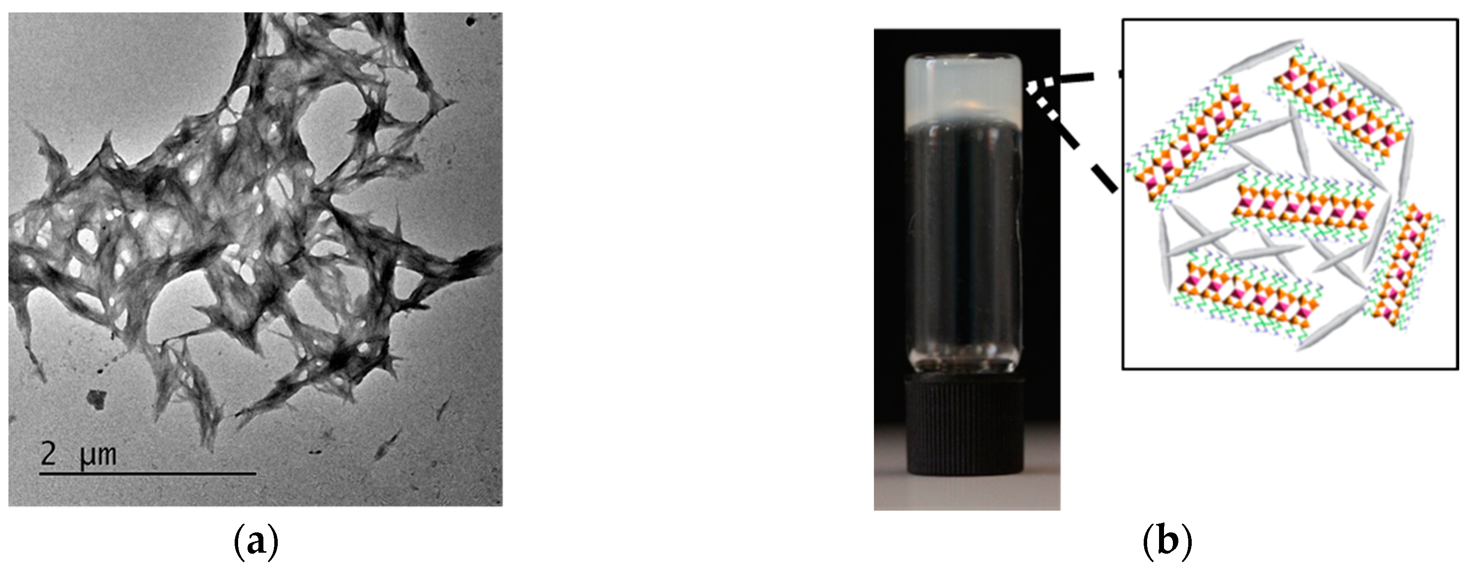 Gels 03 00011 g001