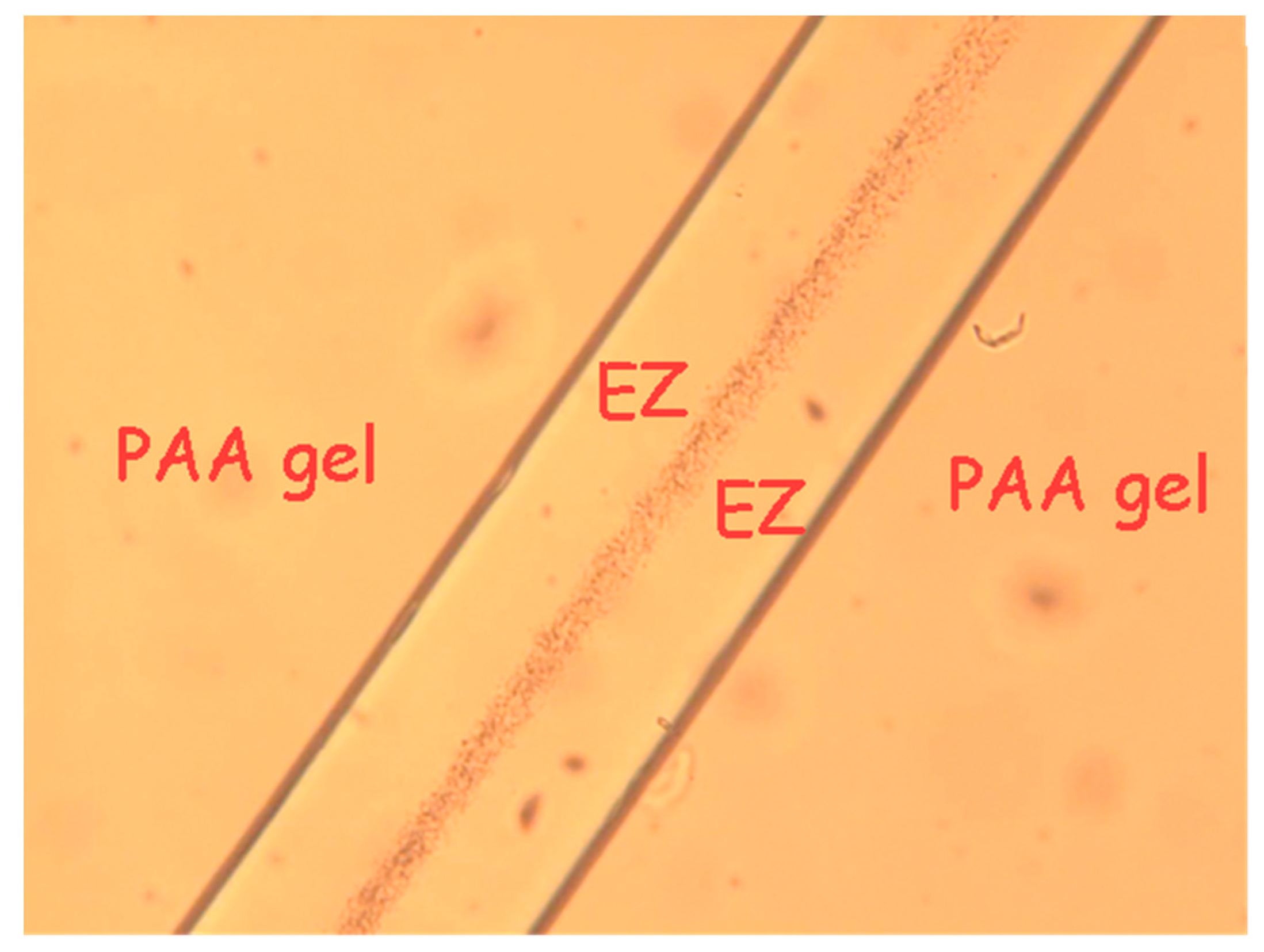 Gels 03 00043 g005 Gels 03 00043 g005