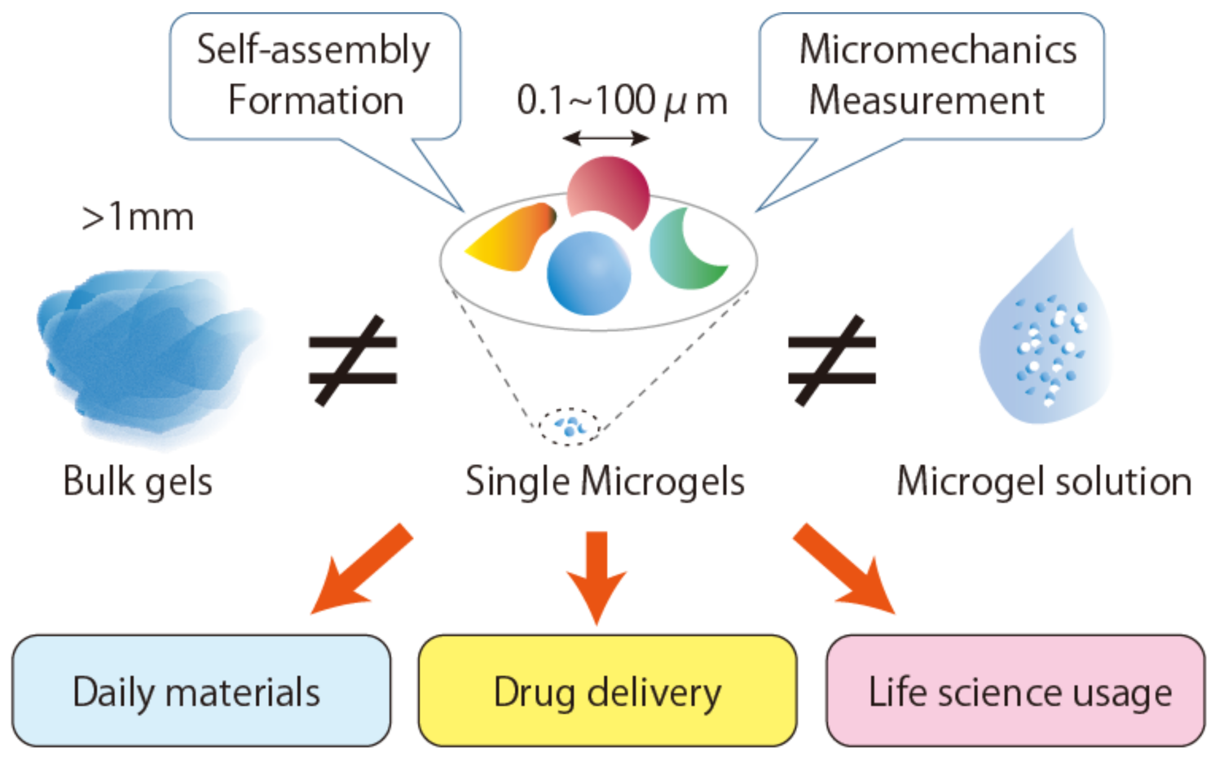 Gels 04 00029 g001 Gels 04 00029 g001