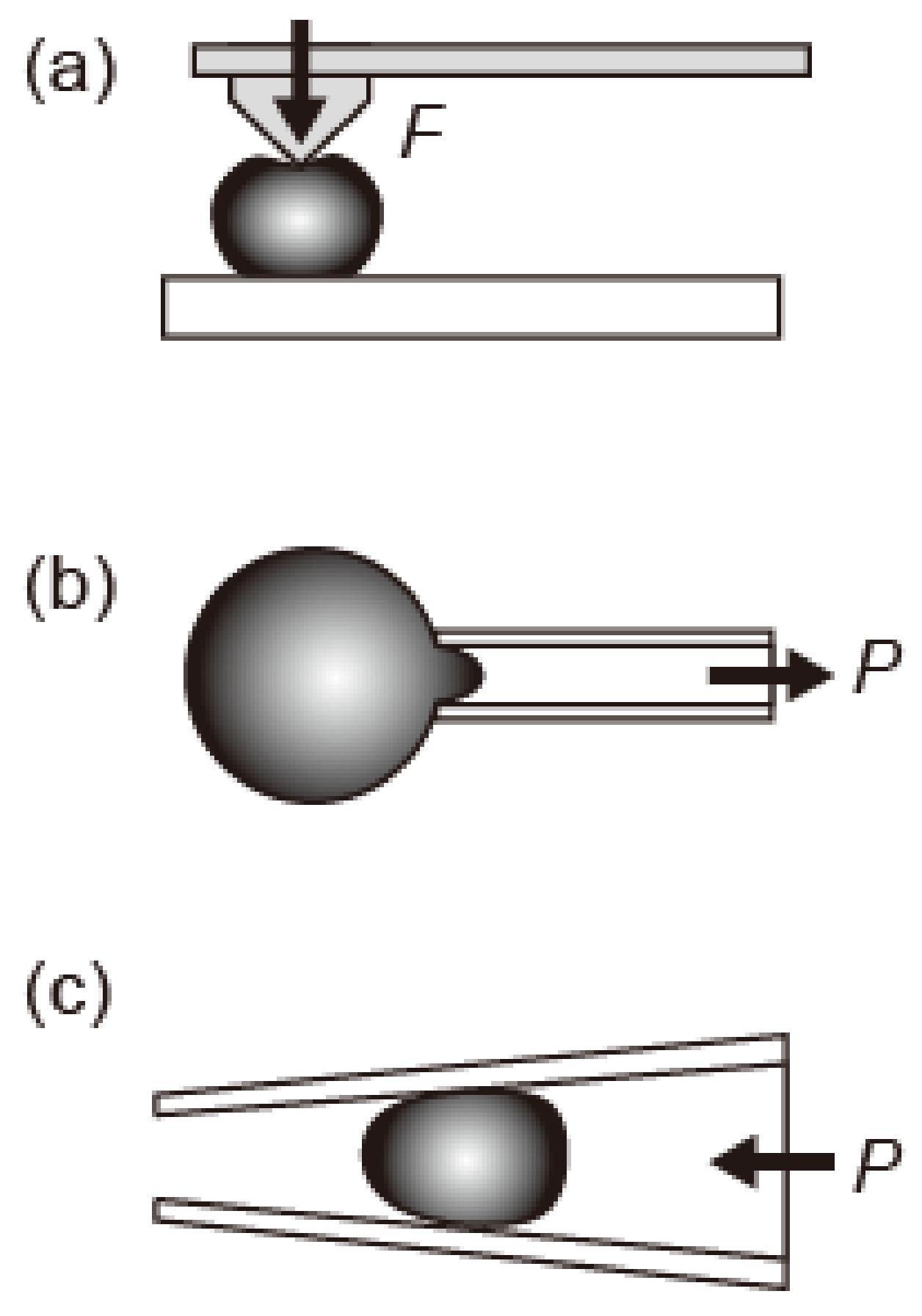 Gels 04 00029 g005 Gels 04 00029 g005