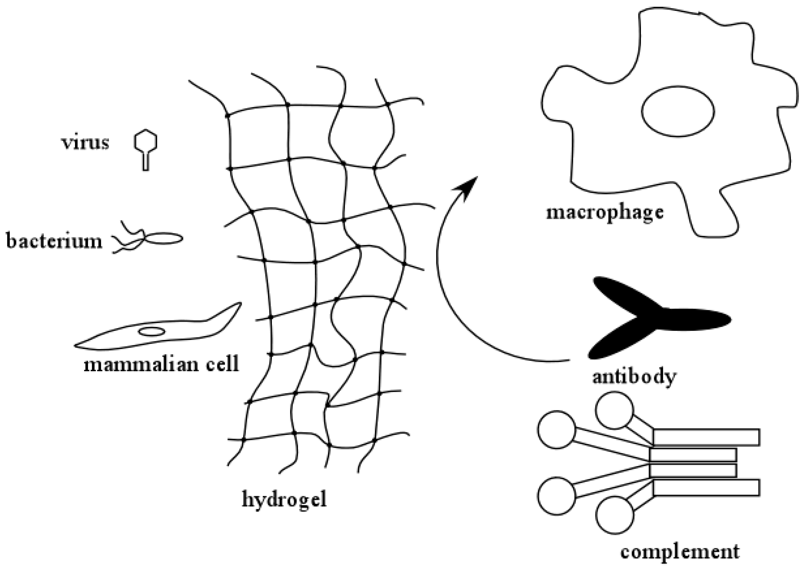 Gels 04 00061 g001 Gels 04 00061 g001