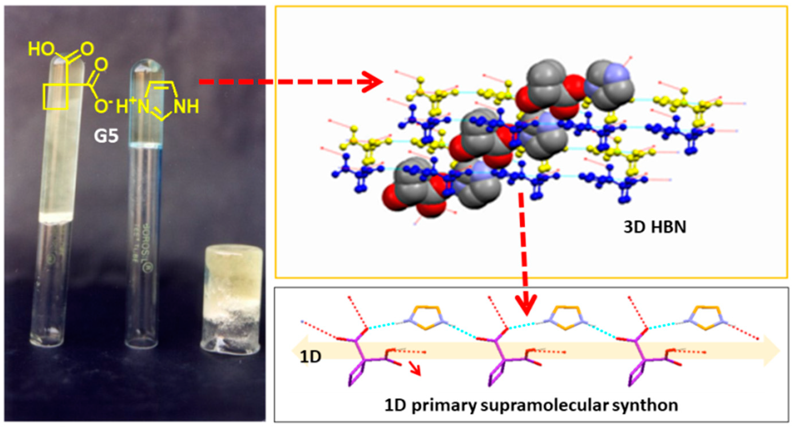 Gels 05 00015 g002 Gels 05 00015 g002