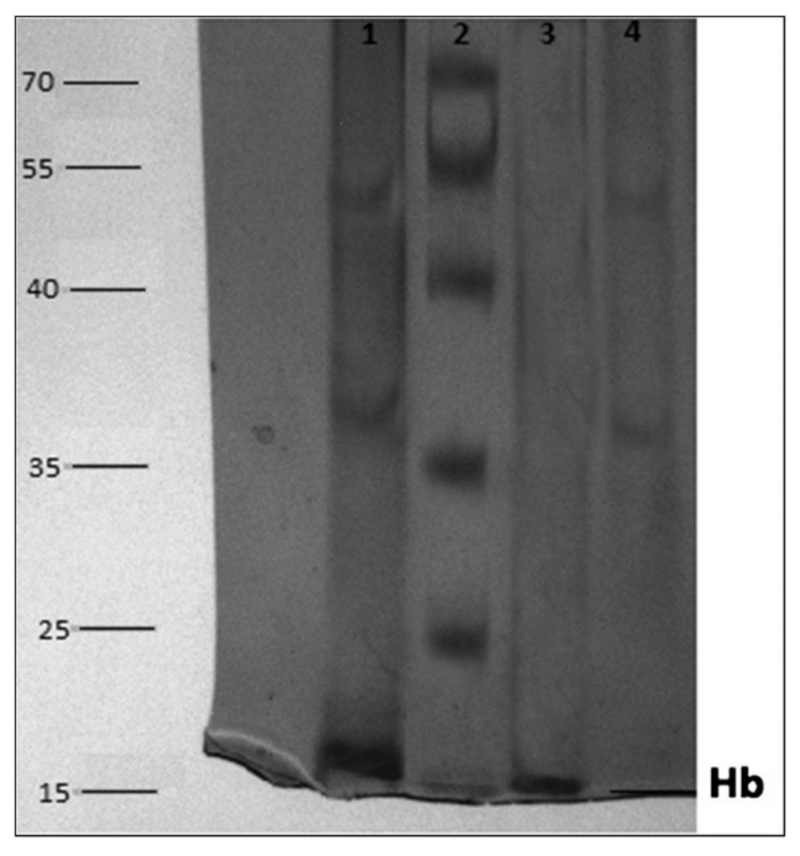 Gels 05 00020 g007 Gels 05 00020 g007
