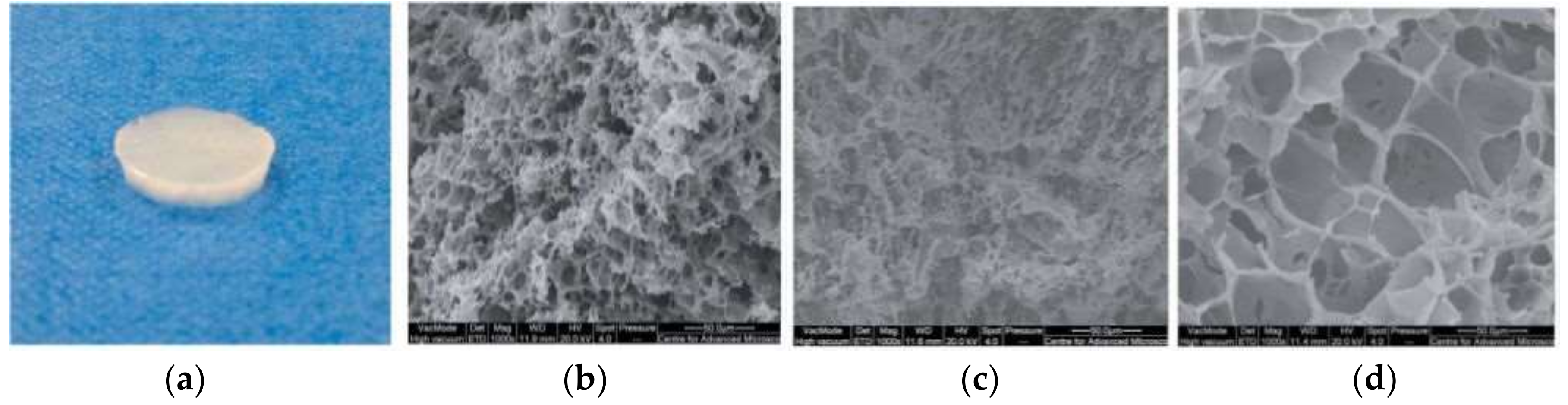 Gels 05 00020 g016 Gels 05 00020 g016