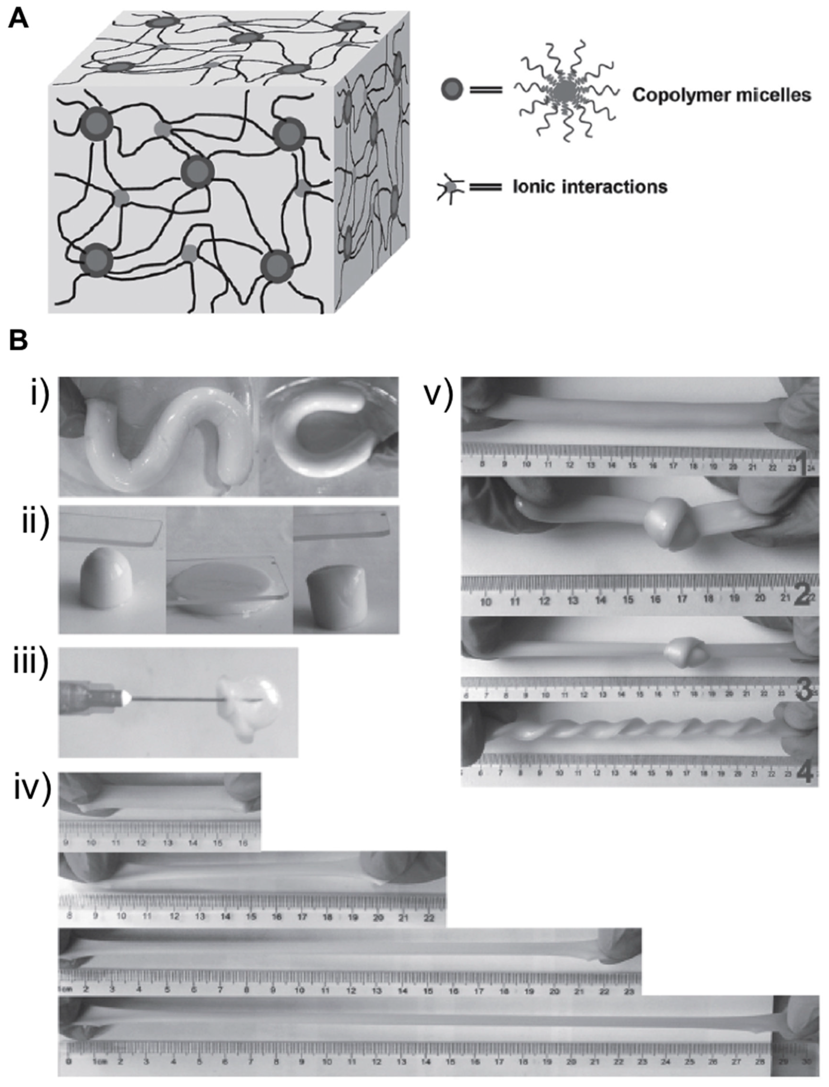 Gels 05 00024 g003 Gels 05 00024 g003