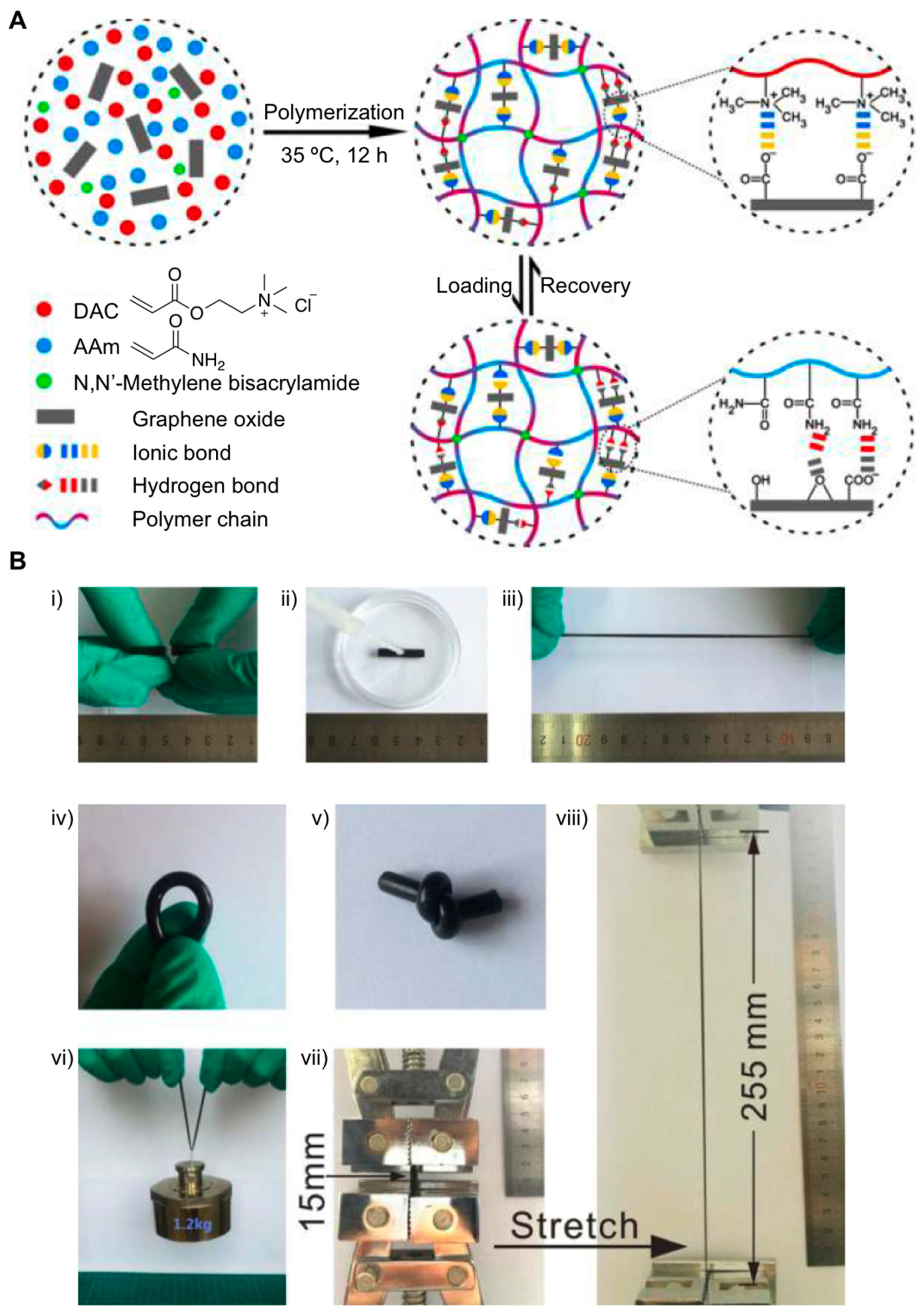 Gels 05 00024 g004 Gels 05 00024 g004