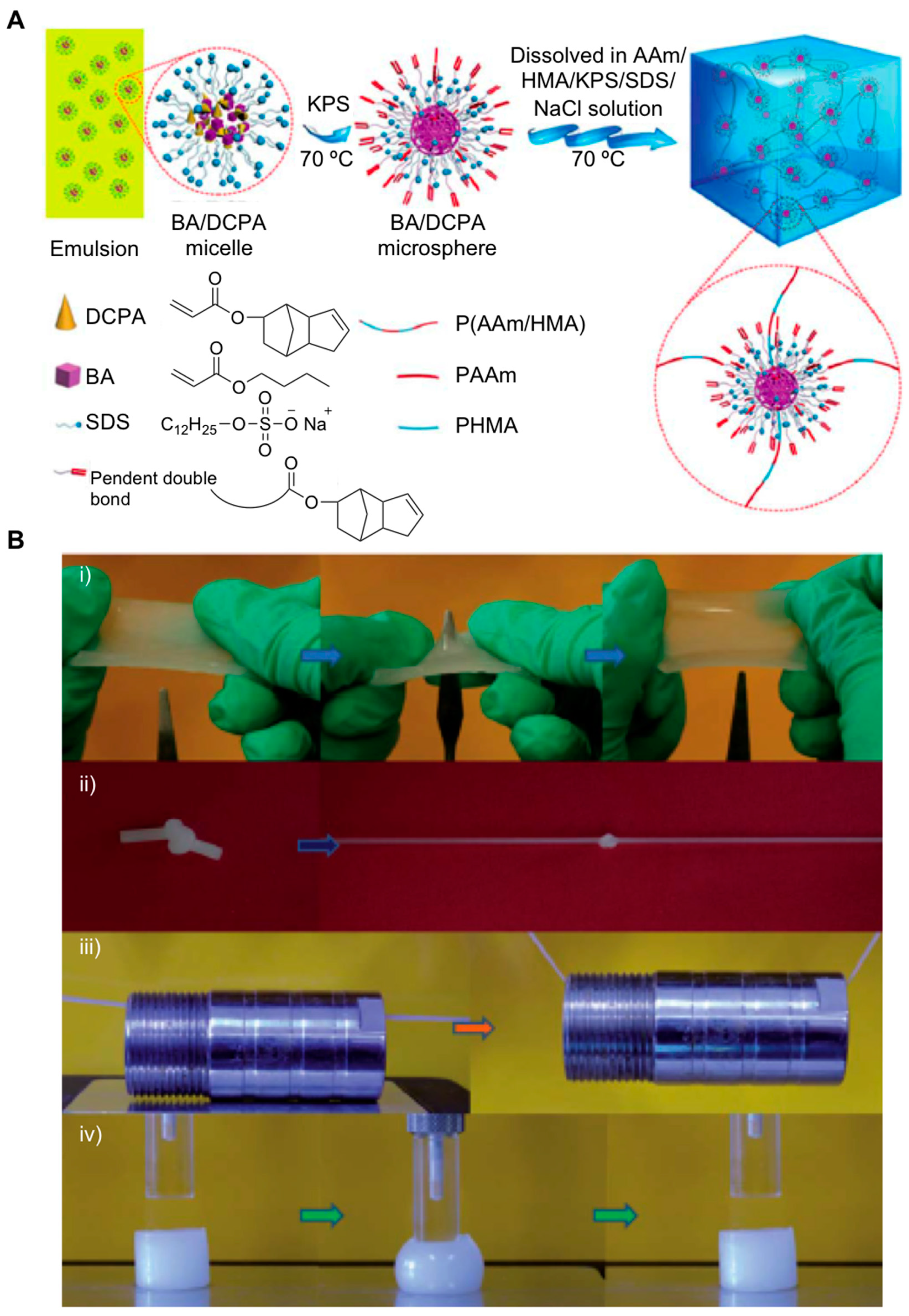 Gels 05 00024 g007 Gels 05 00024 g007