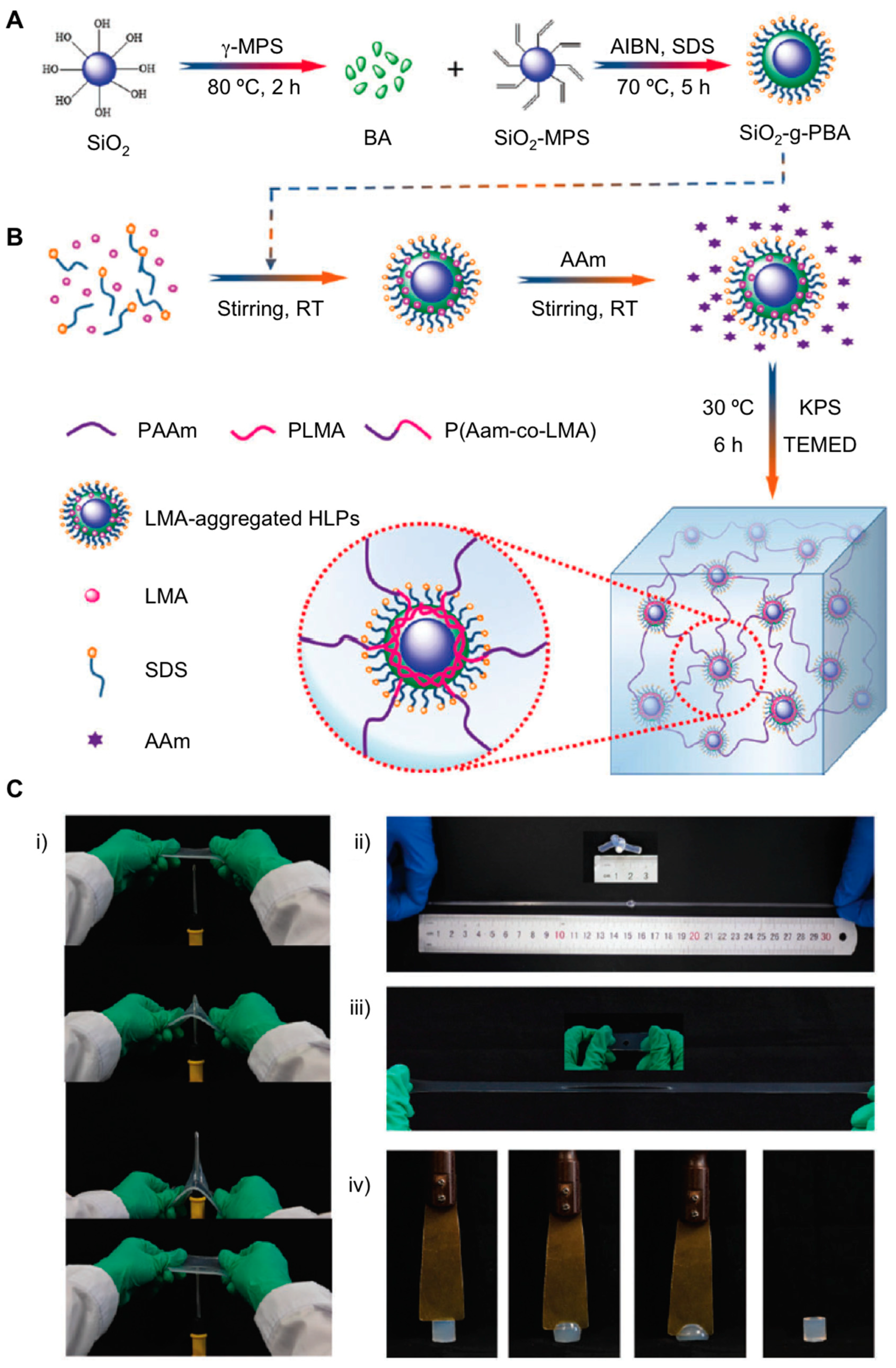 Gels 05 00024 g008 Gels 05 00024 g008