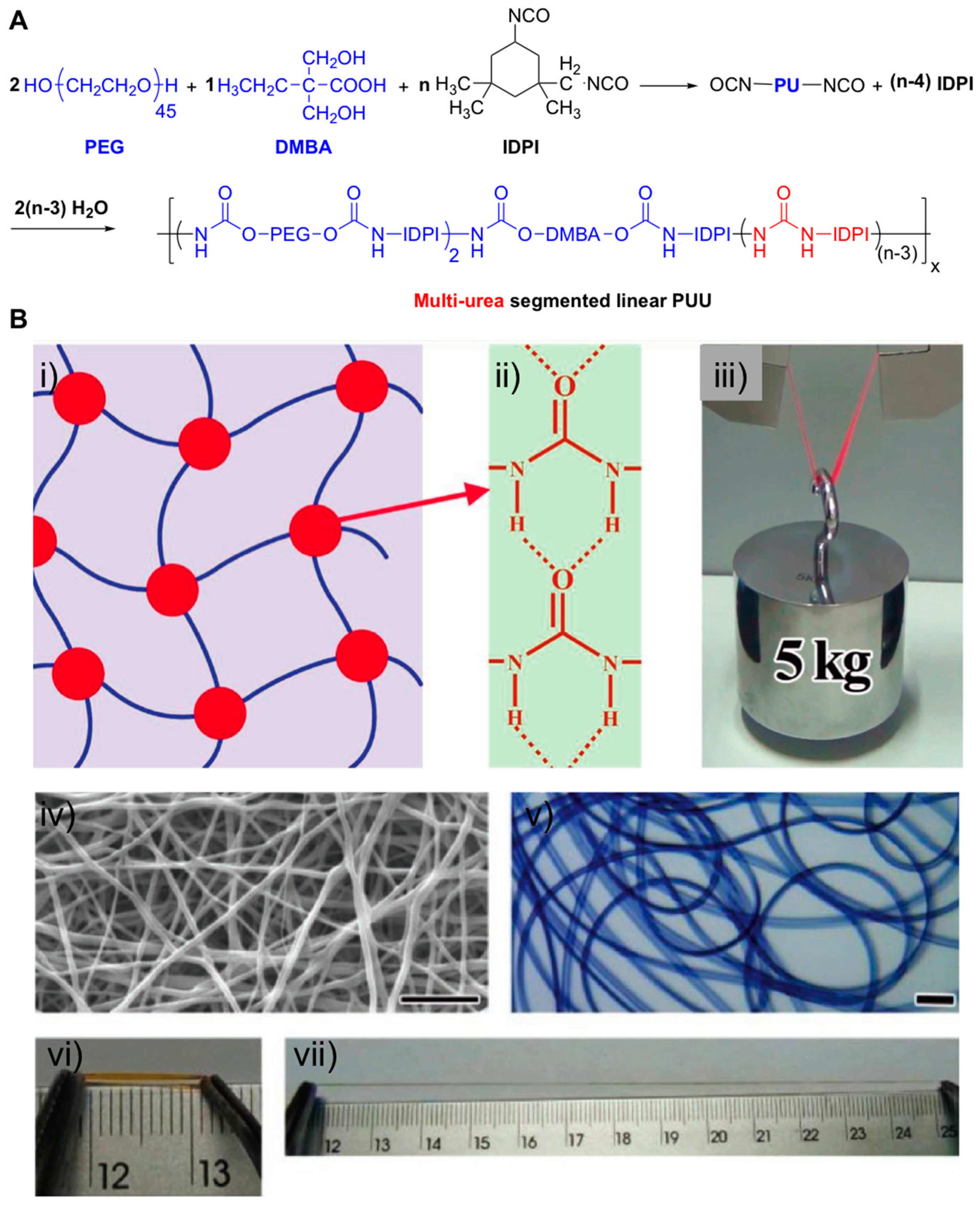 Gels 05 00024 g009 Gels 05 00024 g009