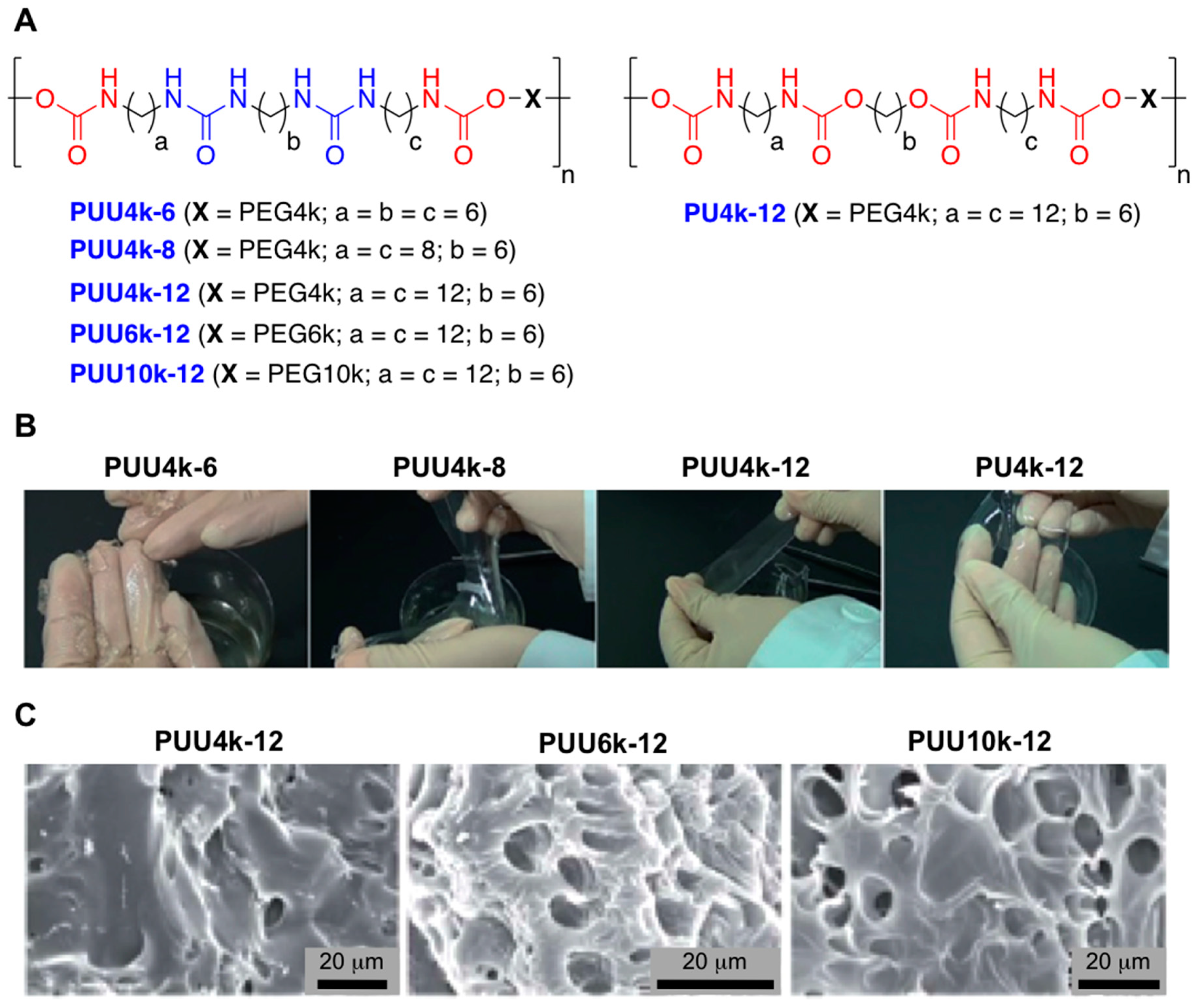 Gels 05 00024 g010 Gels 05 00024 g010