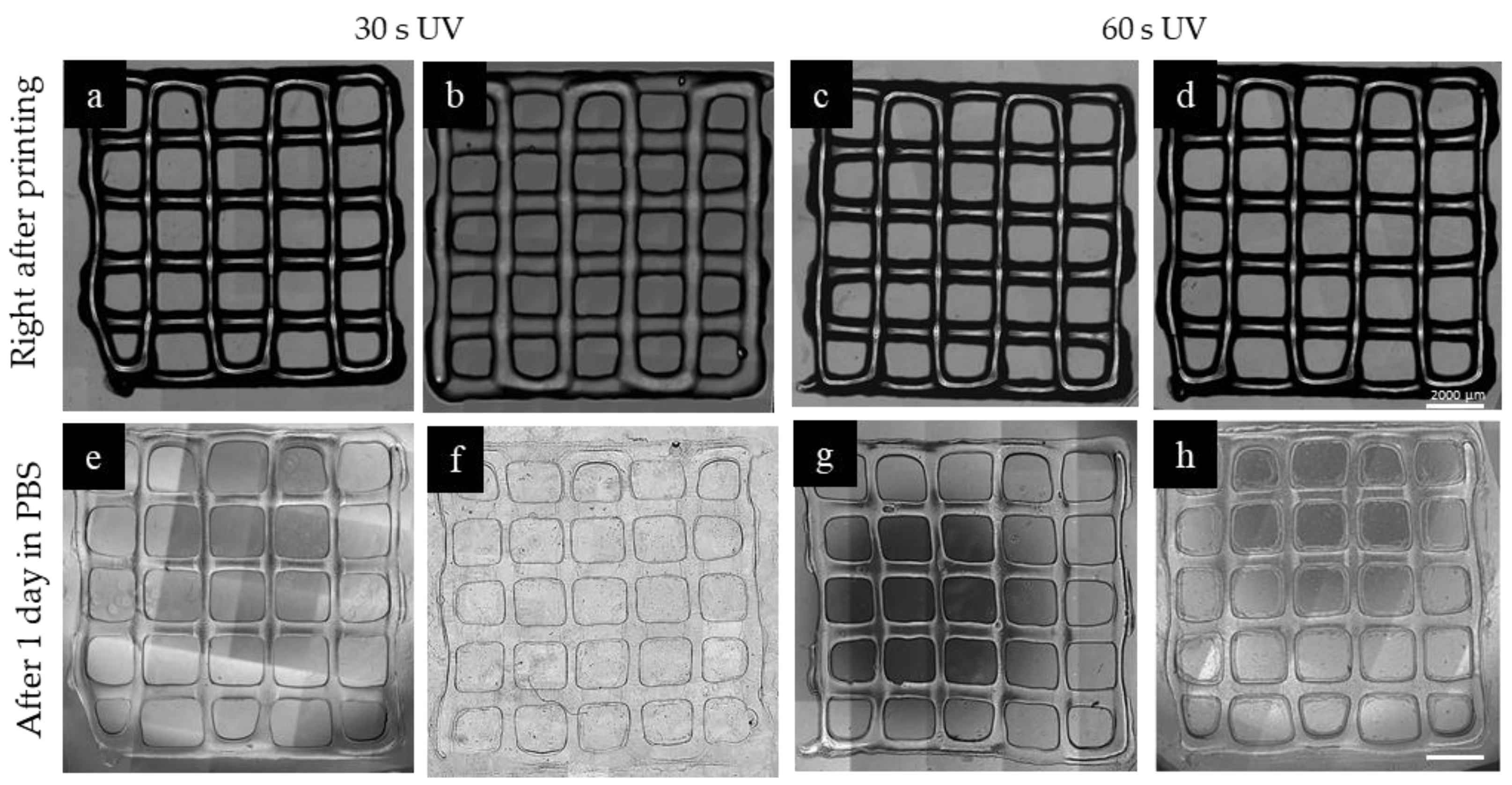 Gels 05 00034 g005 Gels 05 00034 g005