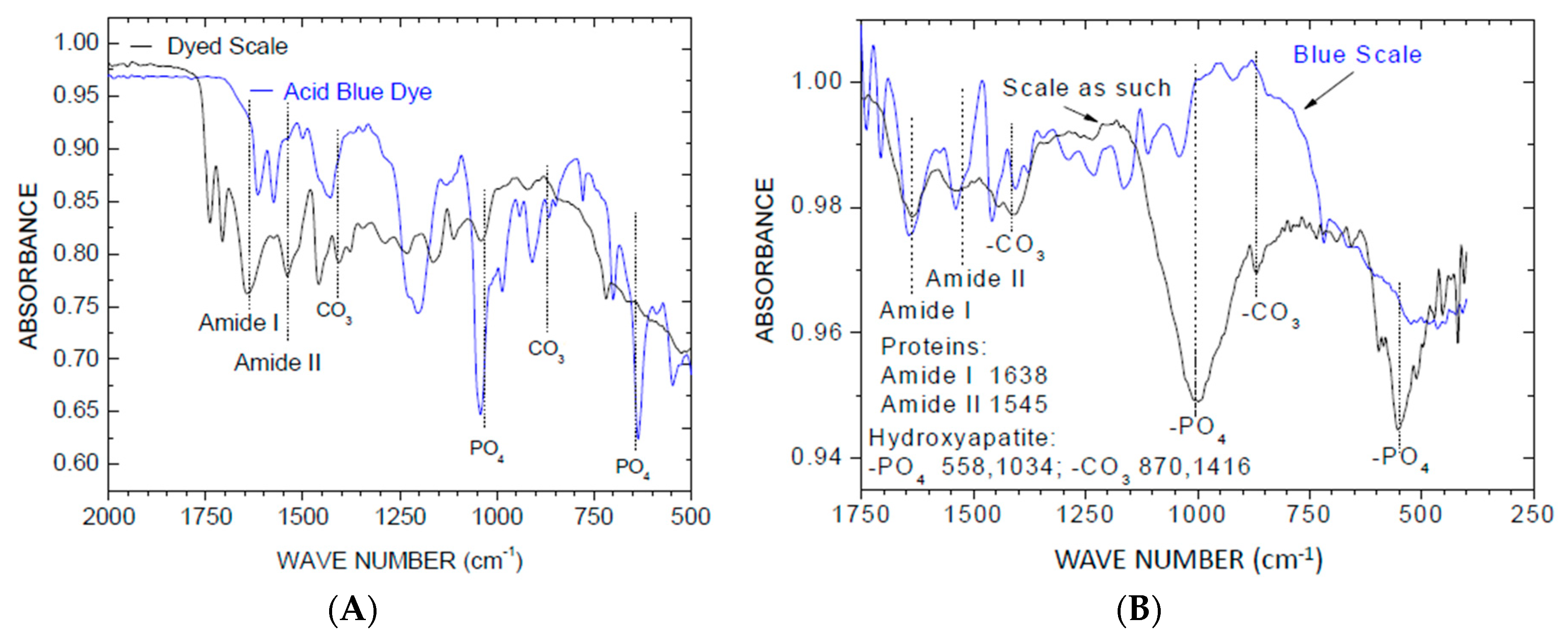 Gels 05 00037 g001 Gels 05 00037 g001