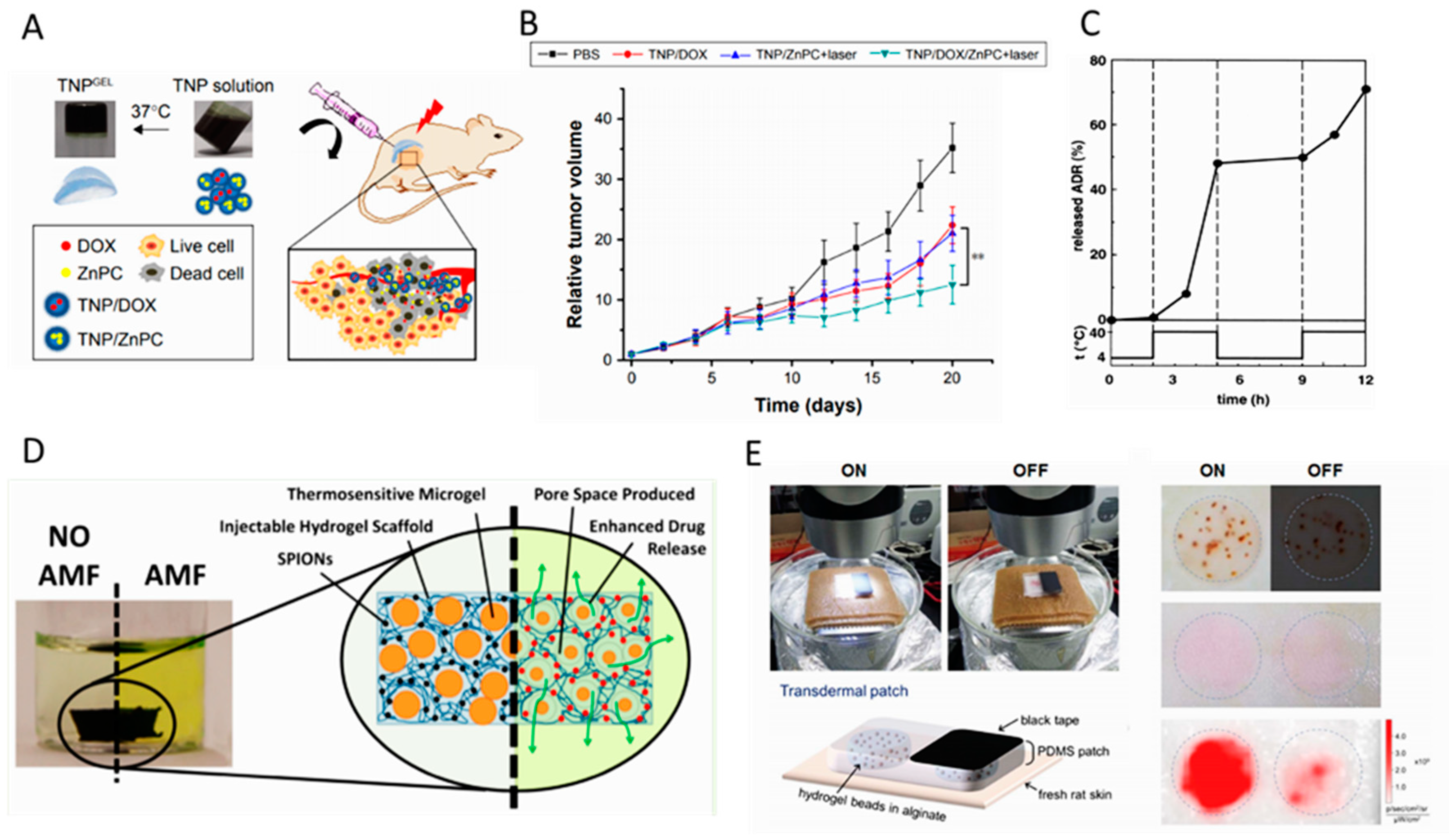 Gels 06 00014 g004 Gels 06 00014 g004