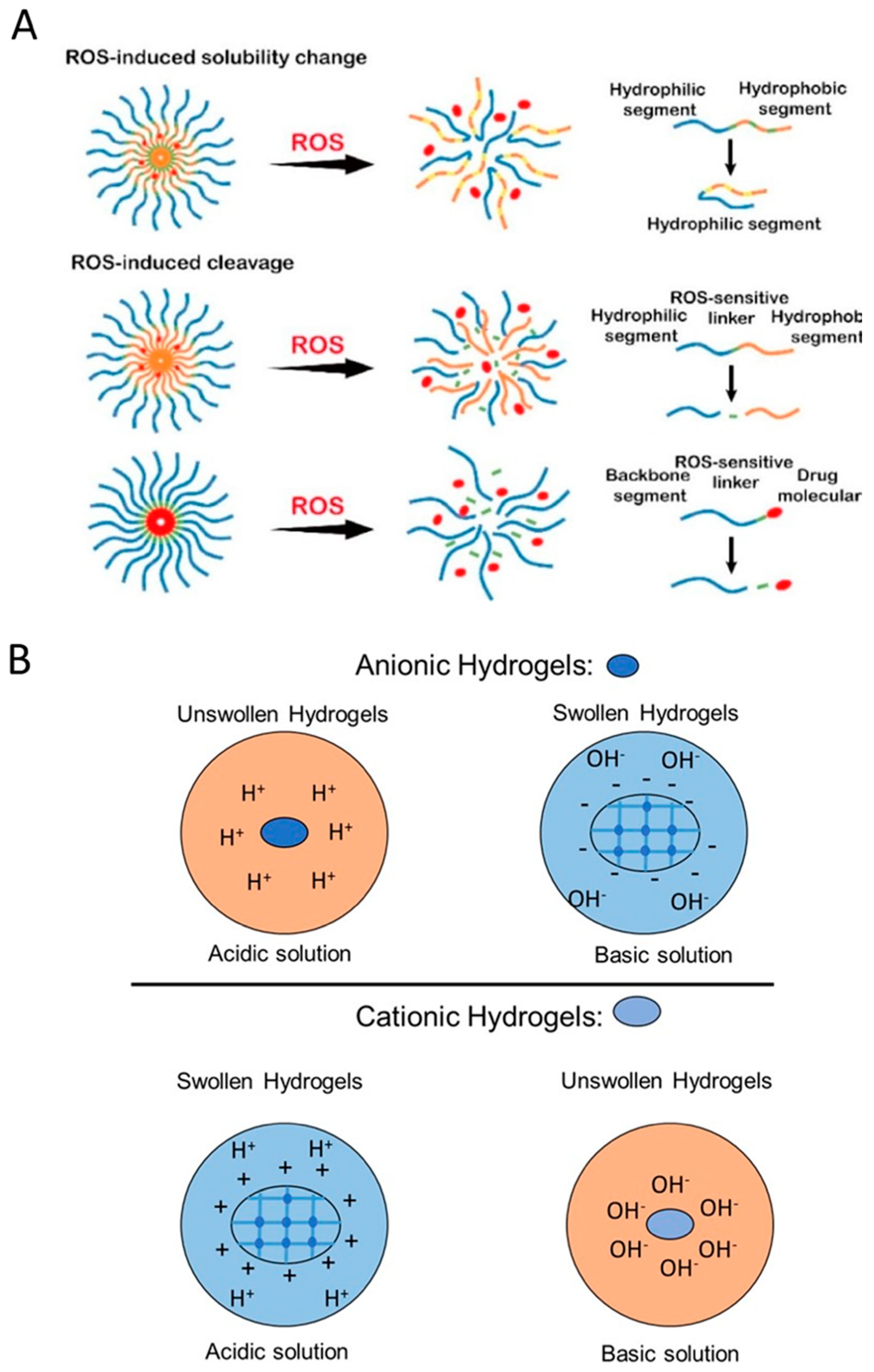 Gels 06 00014 g005 Gels 06 00014 g005