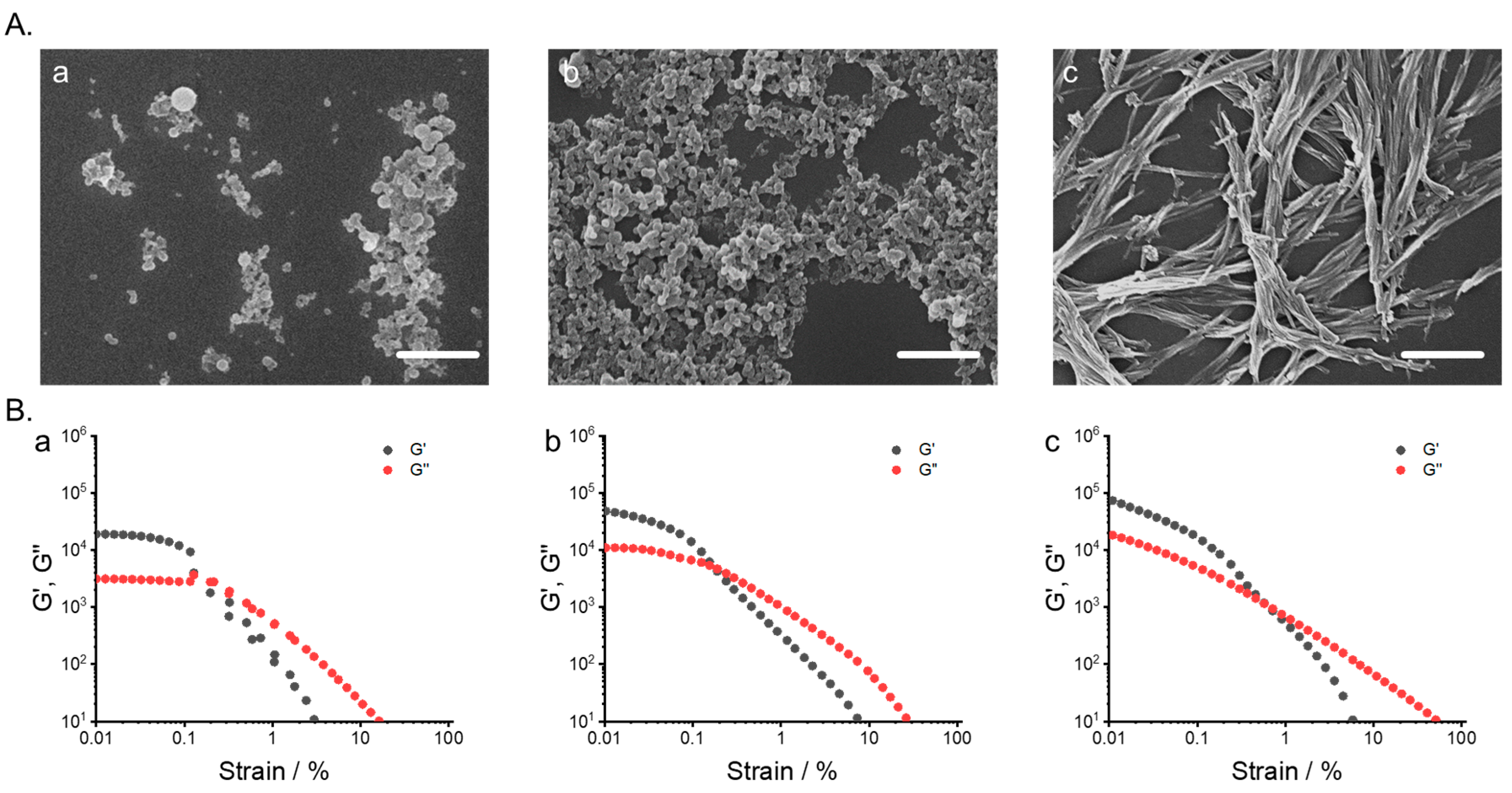Gels 06 00016 g004 Gels 06 00016 g004