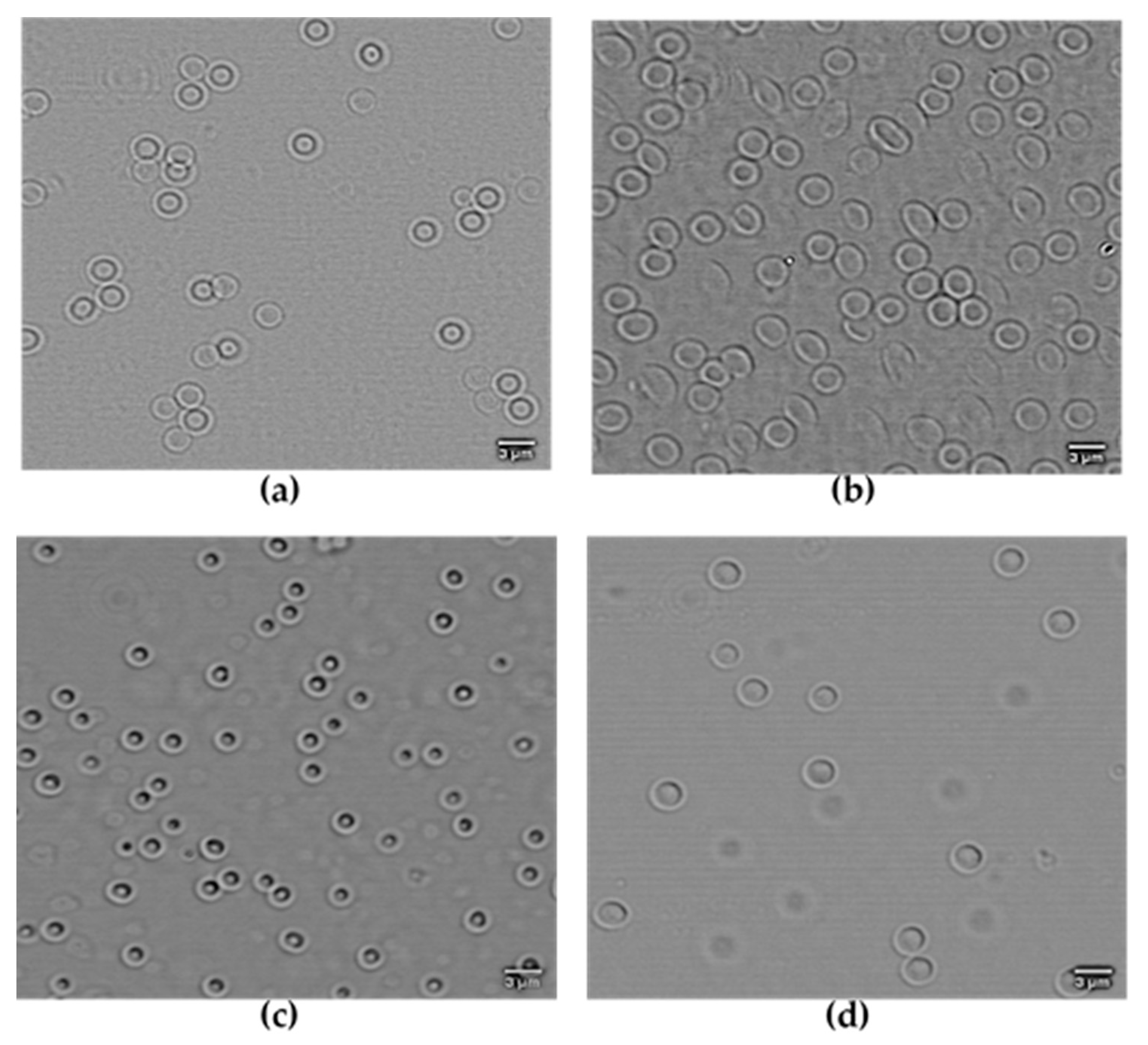 Gels 06 00034 g001 Gels 06 00034 g001