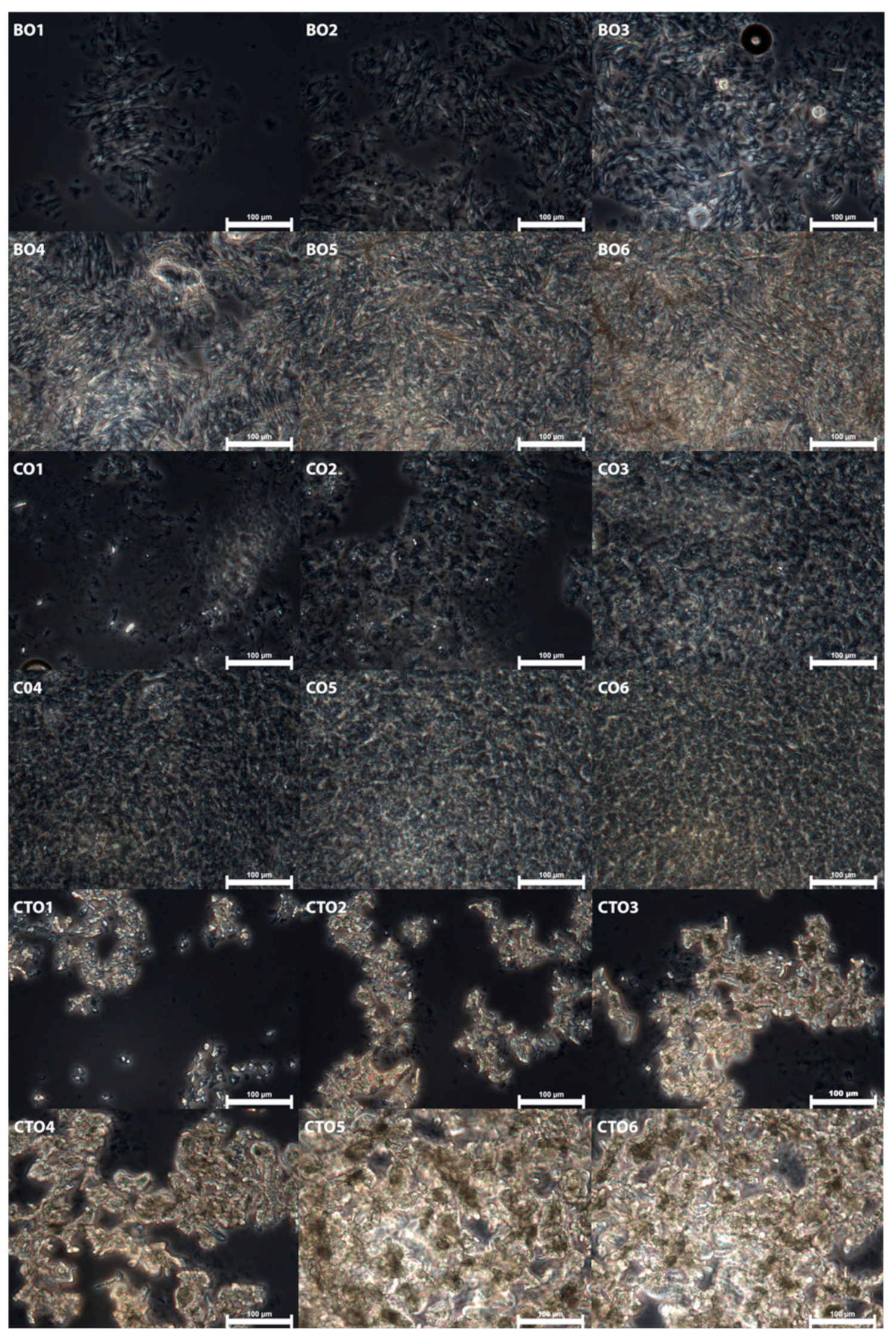 Gels 07 00012 g002 Gels 07 00012 g002