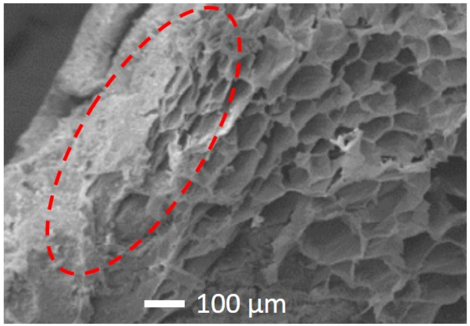 Gels 07 00035 g003 Gels 07 00035 g003