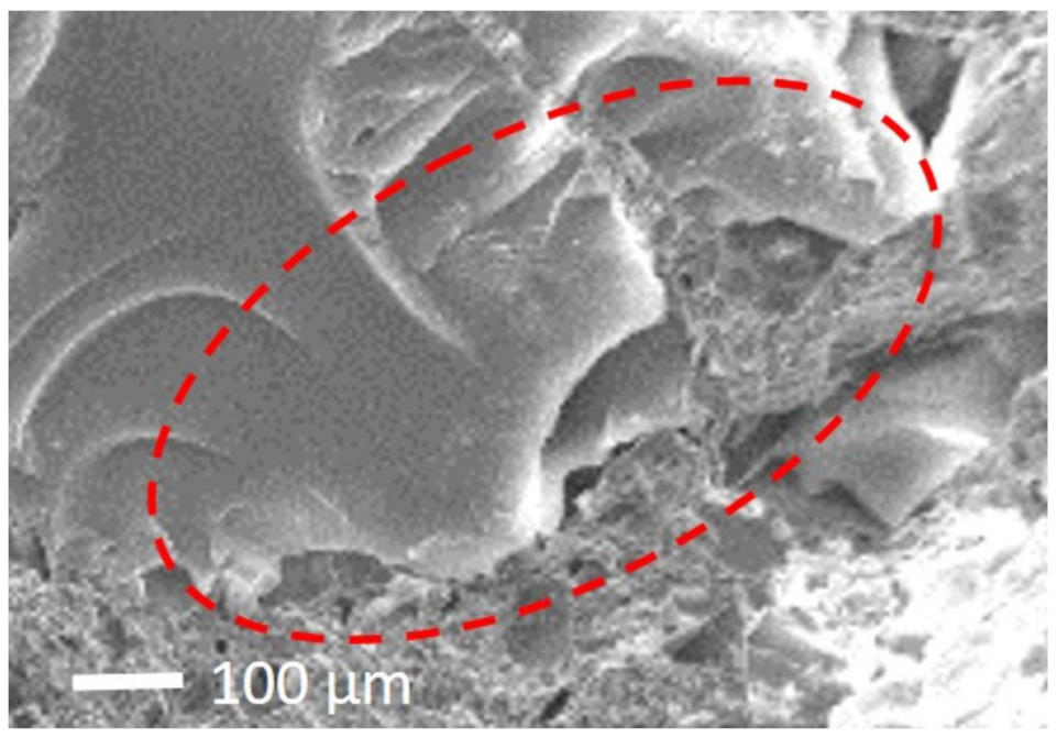 Gels 07 00035 g006 Gels 07 00035 g006