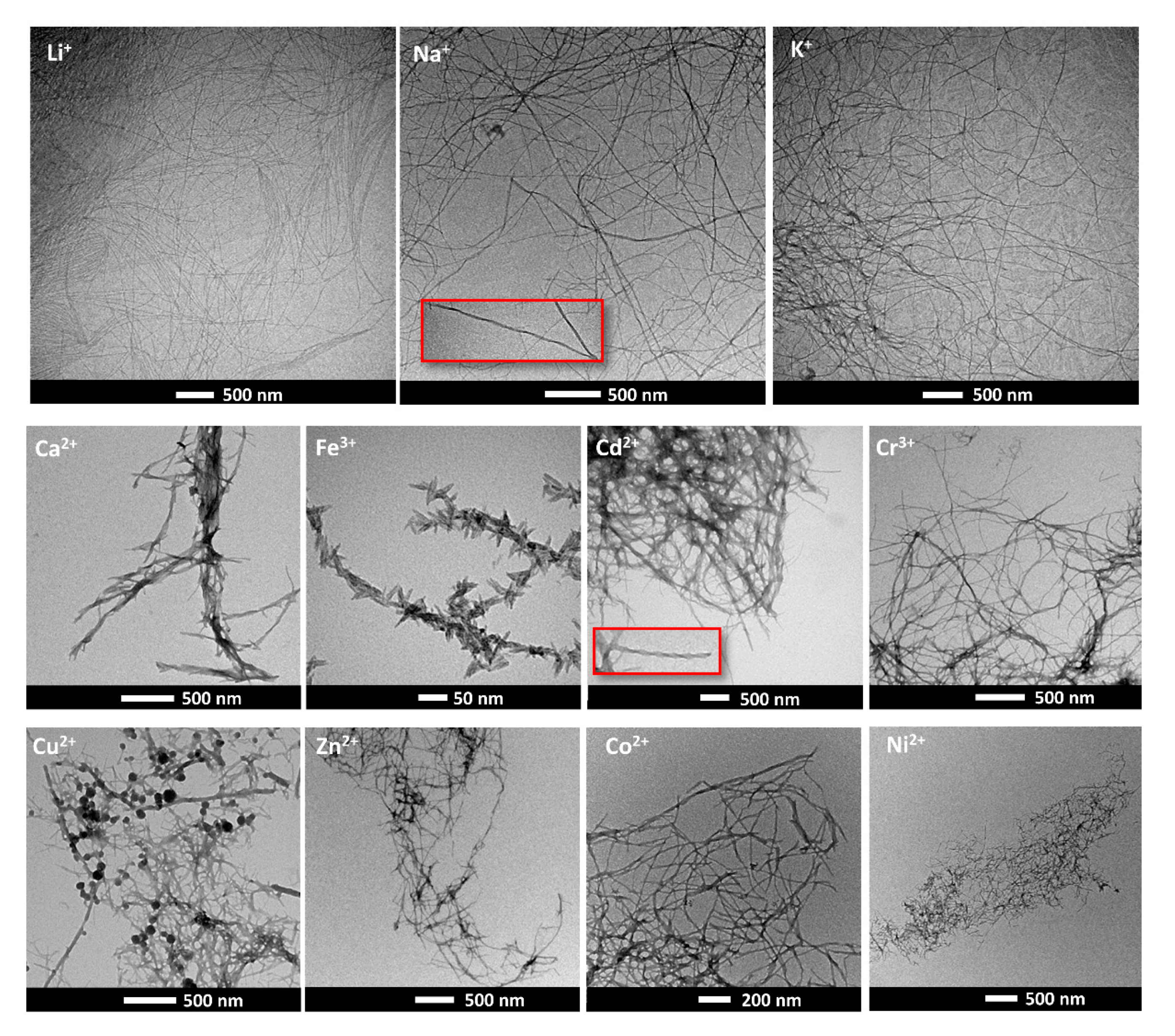 Gels 07 00085 g004