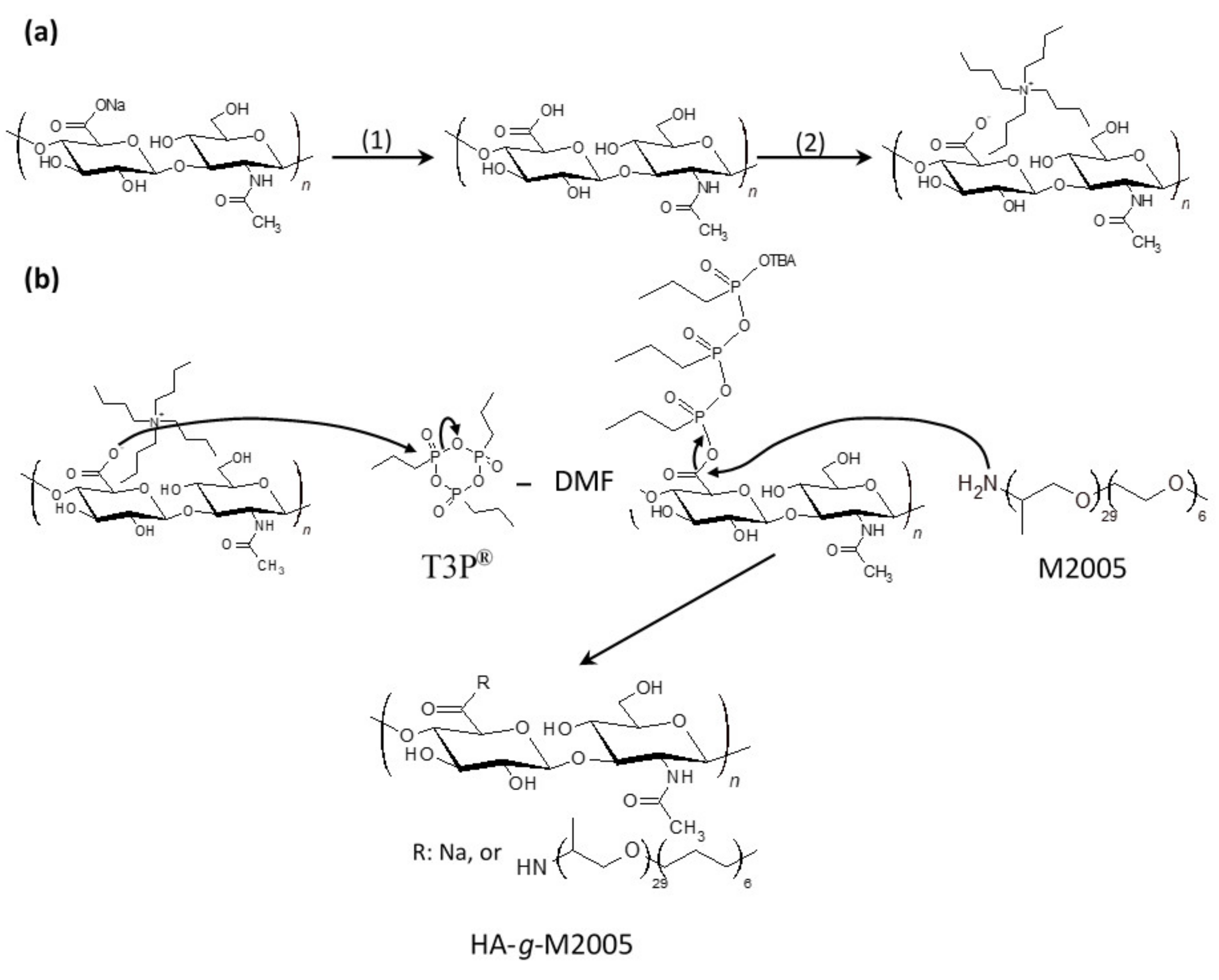Gels 07 00088 sch002