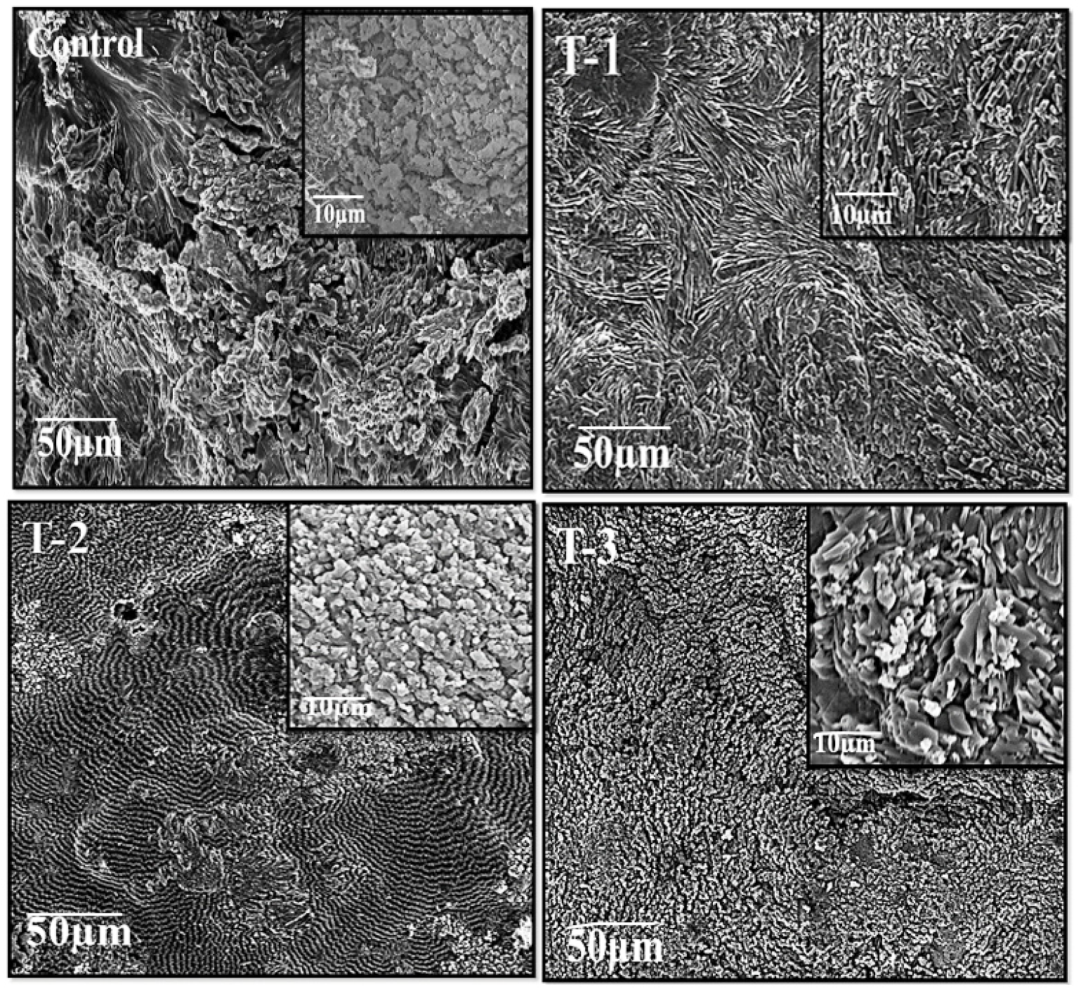 Gels 07 00107 g002 Gels 07 00107 g002