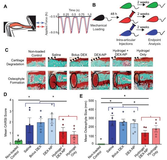 Gels 07 00155 g005 550