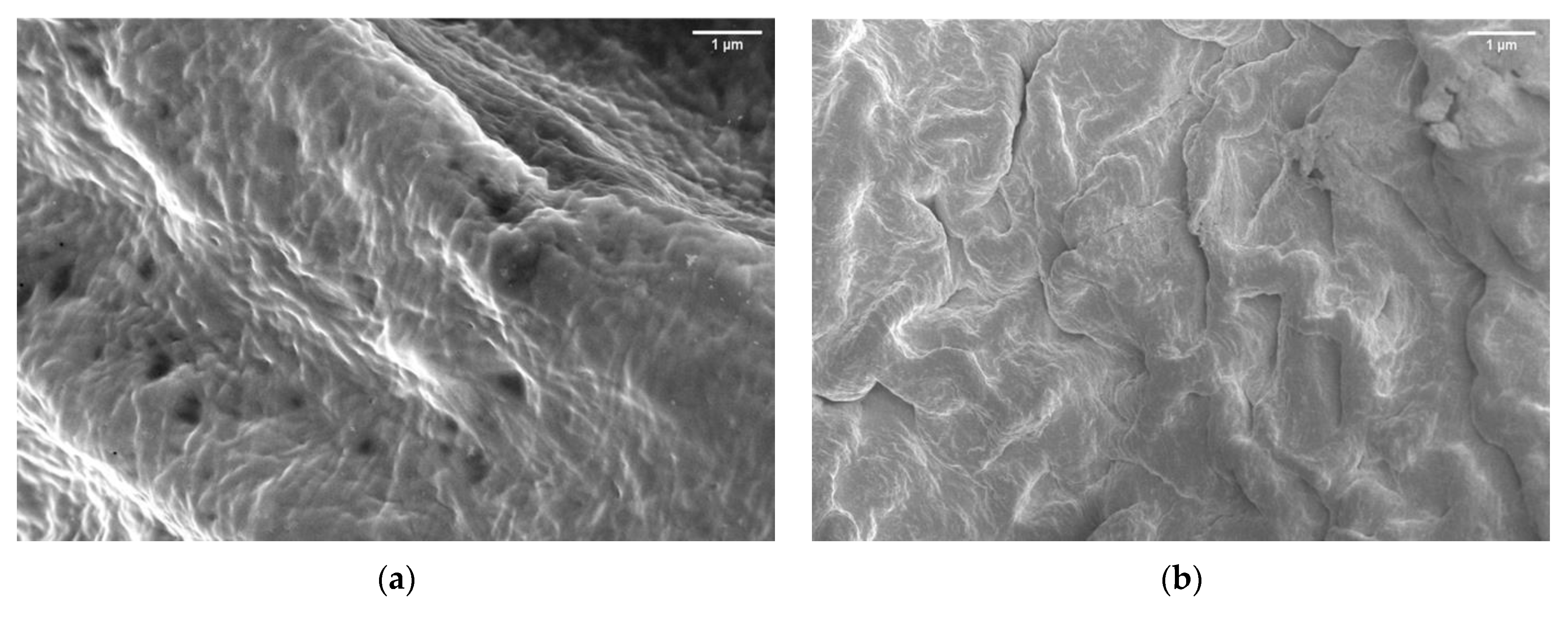 Gels 07 00160 g002 Gels 07 00160 g002