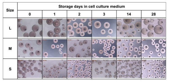 Gels 07 00176 g0a4 550